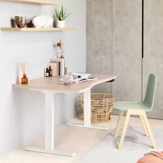 【FUNTE】Mini+ 電動升降桌/二節式 100x60cm 八色可選(辦公桌 電腦桌 工作桌)