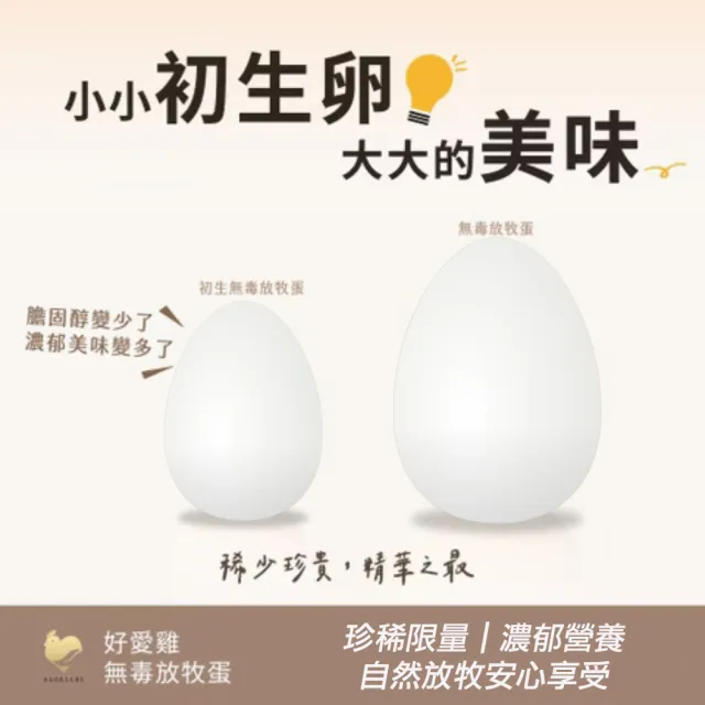 【HAOAICHI 好愛雞】限量初生卵 無毒の白殼放牧蛋 大家庭3盒 共90顆組(30顆/盤)非籠飼無藥殘無毒 雞蛋