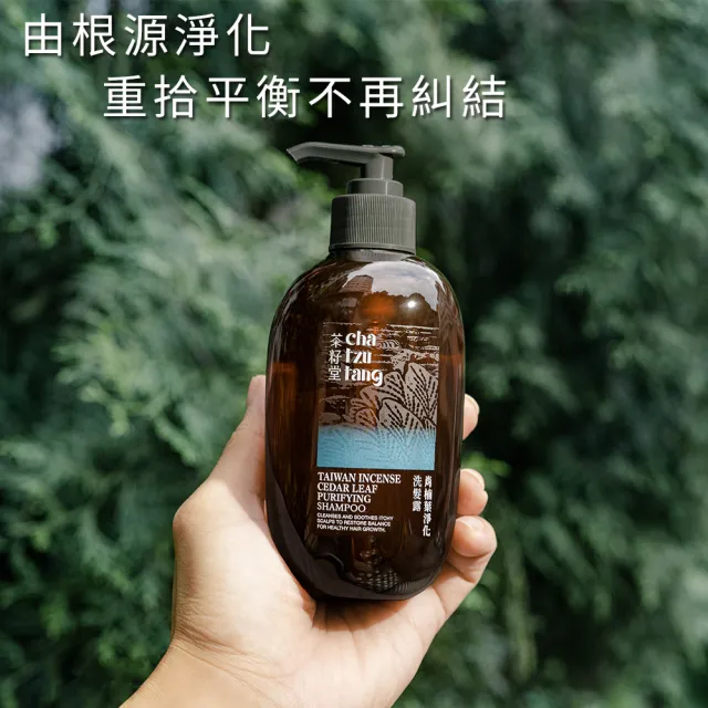 【茶籽堂】三大植萃香氣洗髮露500mL｜三款調理任選(肖楠葉淨化/馬栗樹舒活/水芙蓉潤澤/控油保濕)