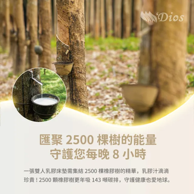 【迪奧斯】雙人10cm天絲表布防蹣抗菌全乳膠床墊5x6.2尺-頂級款D95