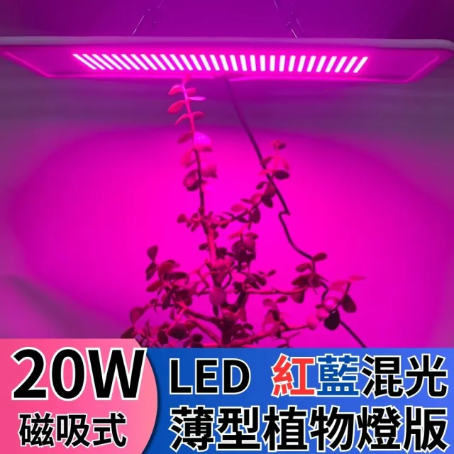 【JIUNPEY 君沛】LED20W薄型植物燈版 20瓦磁吸式植物燈 紅藍光譜(植物生長燈 植物燈)