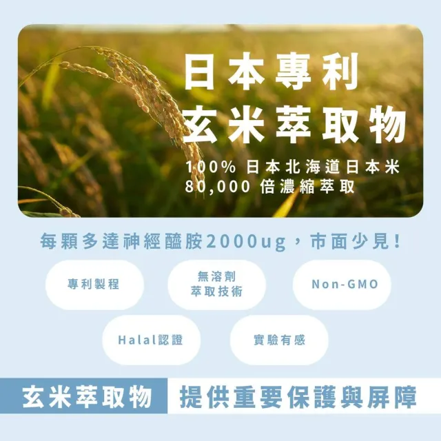【Dr.Nutri 芯漾生醫】雪淬｜青春美麗｜30粒｜瓶裝(玄米萃取物｜HAPLEX☆Plus大廠MAX透明質酸鈉｜蠶絲蛋白)