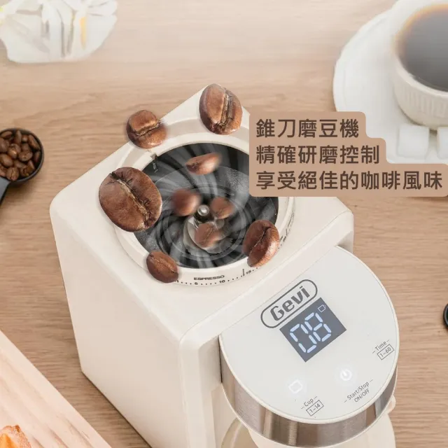 【Gevi】咖啡大師 半自動義式咖啡機 + 抗靜電錐刀電動磨豆機 家用組合(附完整套件)