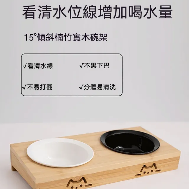 【2026】貓碗推薦10款高評價人氣品牌排行榜 | 好吃美食的八里人