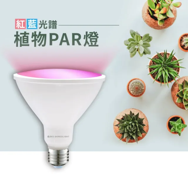 【2026】燈泡推薦10款高評價人氣品牌排行榜 | 好吃美食的八里人