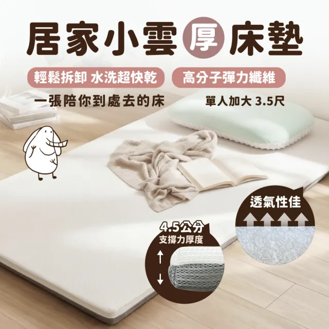 【PeNi 培婗】馬卡龍荳枕 60x40x(6+2)cm x1  +  居家小雲厚床墊 單人加大105x188cm x1+枕套