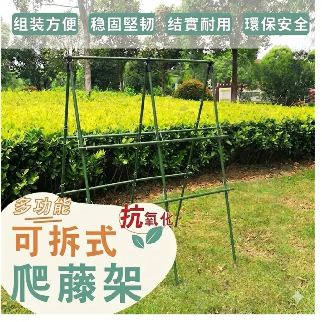 【poko】爬藤架 攀藤架 菜棚架 A型組合150(管徑20mm 棚架 爬藤支架 植物 包塑鋼管 藤蔓架 綠竹鋼管)