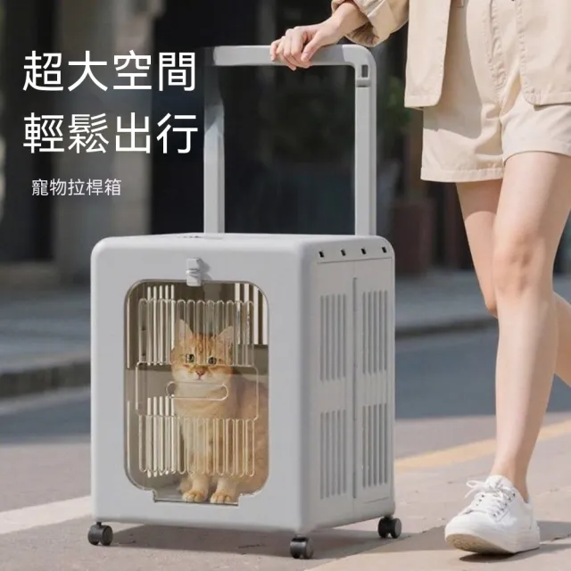 | BALIMAN情報局 【2026】行李拉桿包推薦10款高評價人氣品牌排行榜 | BALIMAN情報局