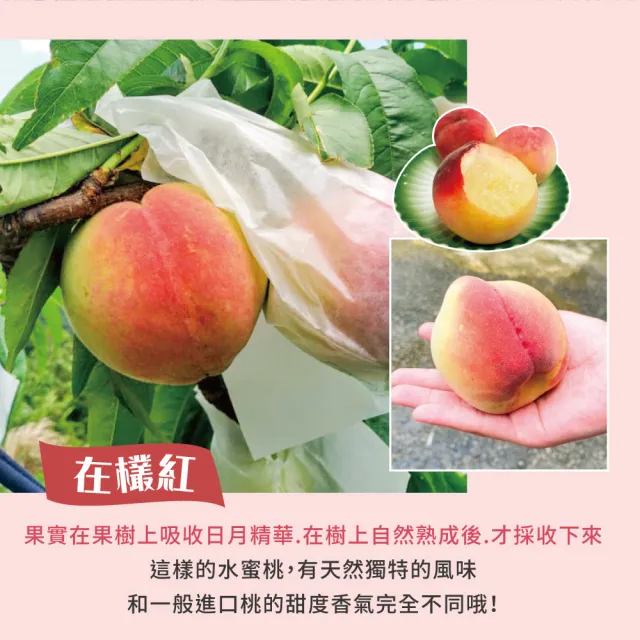 【初品果】拉拉山水蜜桃禮盒10顆x2盒(共20顆_食尚玩家推薦_產地直送_母親節送禮_企業採購)