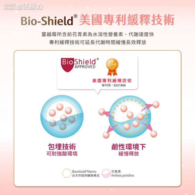【悠活原力】高濃縮蔓越莓私密益生菌植物膠囊X5盒(30粒/盒 蔓越莓 蔓越莓益生菌)