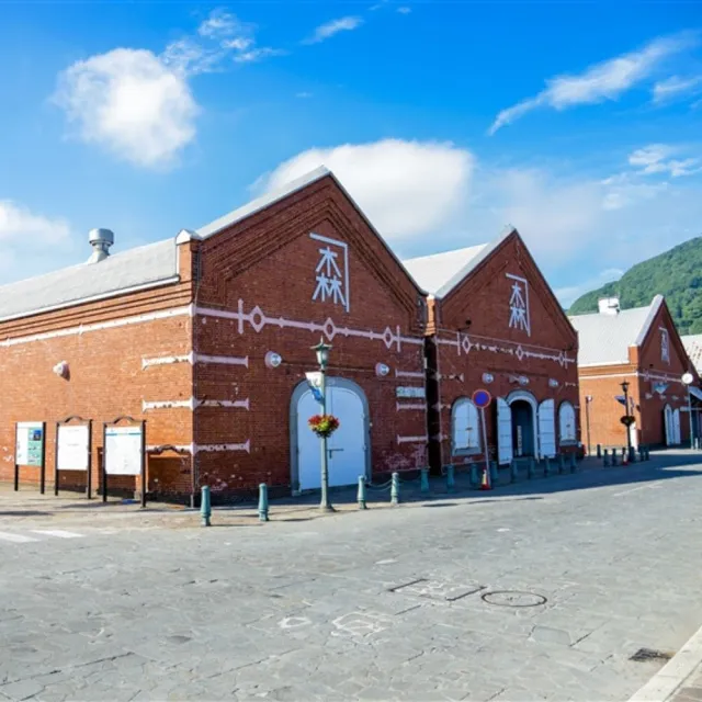 北海道5日★全程無自理餐.企鵝遊行.小樽運河.函館夜景.螃蟹吃到飽.二晚溫泉