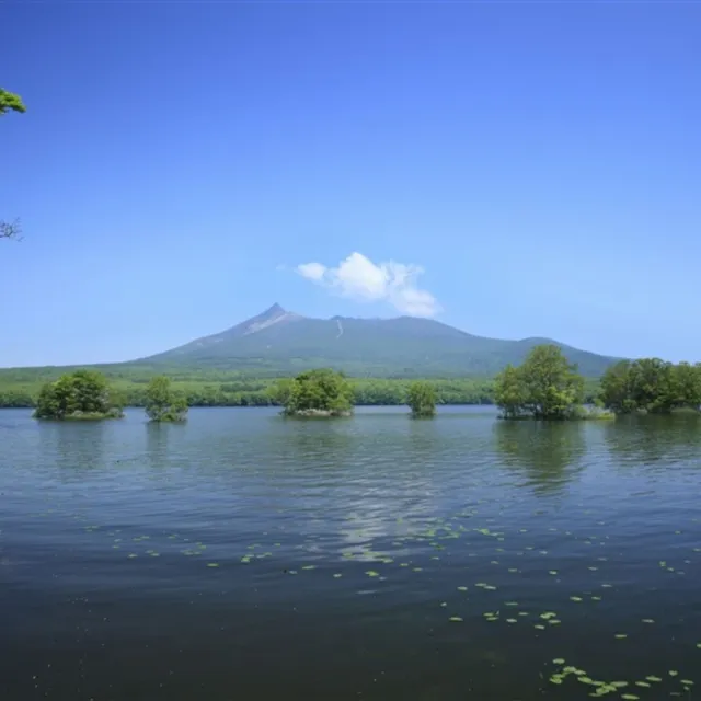 北海道5日★全程無自理餐.企鵝遊行.小樽運河.函館夜景.螃蟹吃到飽.二晚溫泉