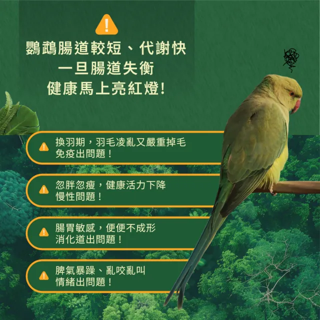 【WeWant 威旺】鸚鵡用益生菌+益生元-超能7菌配方(鳥類保健/鳥益生菌/鸚鵡/鳥)