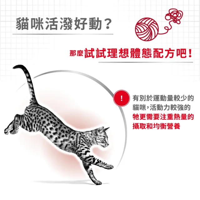 【ROYAL 法國皇家】理想體態成貓專用飼料 F32 2KG(貓乾糧)