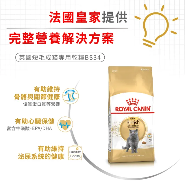 【ROYAL 法國皇家】英國短毛成貓專用飼料 BS34 10KG(貓乾糧)