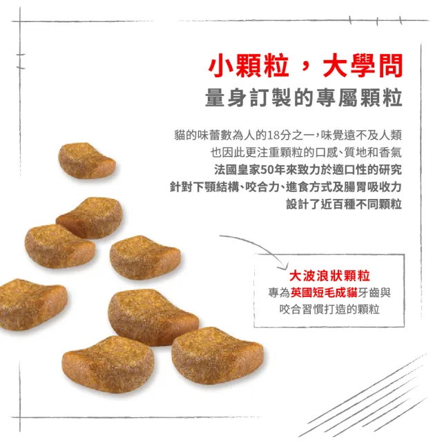 【ROYAL 法國皇家】英國短毛成貓專用飼料 BS34 10KG(貓乾糧)