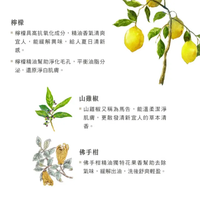 【阿原】檸檬洗髮露500mL*1+檸檬洗澡露500mL*1(洗髮精+沐浴乳)(清潔同時保養)