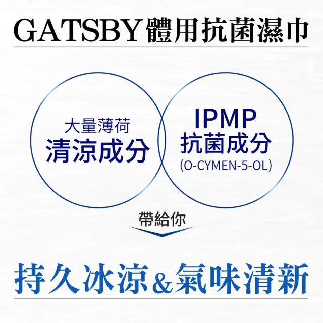 【GATSBY】體用抗菌濕巾超值包30張入x4包(4款涼感任選)