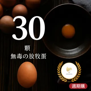 | BALIMAN情報局 【2026】飼料推薦10款高評價飼料品牌排行 | BALIMAN情報局