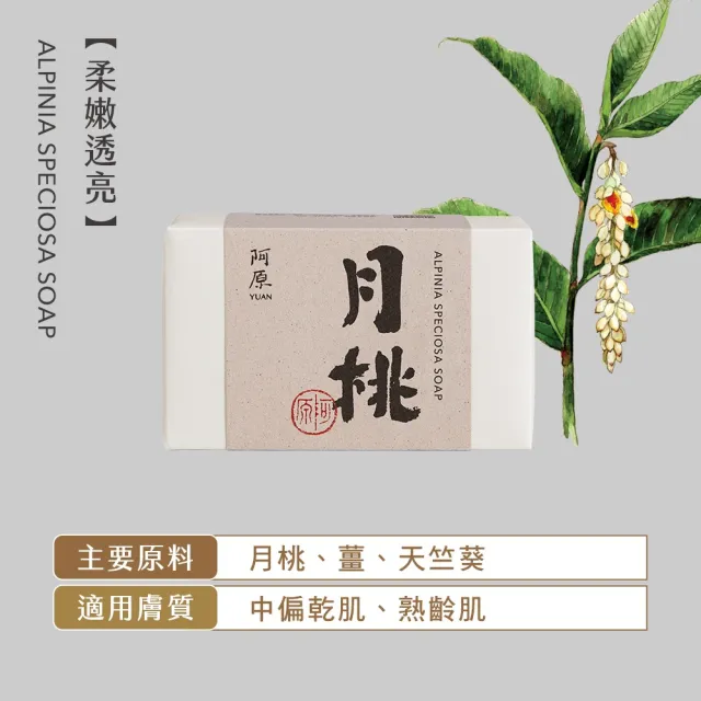【阿原】送心禮-祝福禮盒(月桃皂115g+四神皂115g+洗新沐浴手套)*2(送禮推薦)