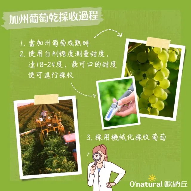 【O’natural 歐納丘】美國加州葡萄乾360g*2罐
