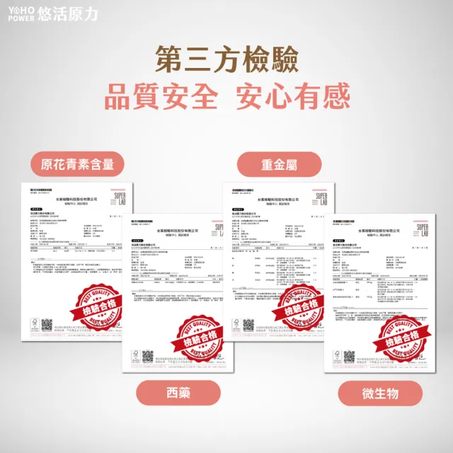 【悠活原力】高濃縮蔓越莓私密益生菌植物膠囊x3(30粒/盒 共90粒 蔓越莓 蔓越莓益生菌)