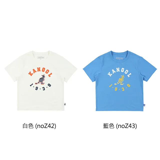 | BALIMAN情報局 【2026】袋鼠推薦10款高評價人氣品牌排行榜 | BALIMAN情報局