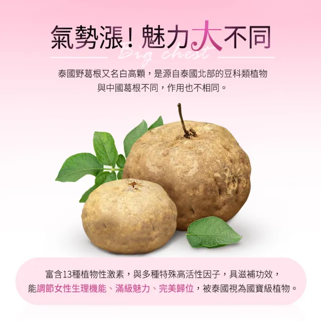 【BHK’s】白高顆 膠囊 1瓶(60粒/瓶)
