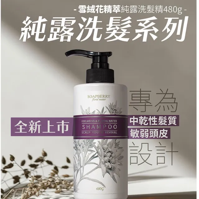 【古寶無患子】4入組-純露洗髮精480g(頭皮護理/控油/頭皮潔淨/養護髮/護色/舒緩乾癢)