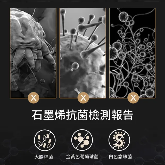 【LooCa】雙人 石墨烯乳膠M型護框獨立筒床墊 5x6.2尺x25cm(送石墨烯枕套+保潔墊)｜父親節禮物