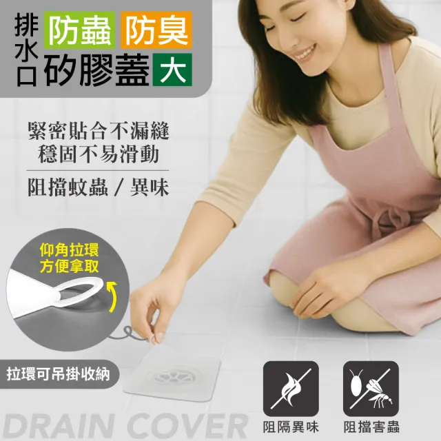 | BALIMAN情報局 【2026】除蟲片推薦|10款高評價人氣品牌排行榜 | BALIMAN情報局