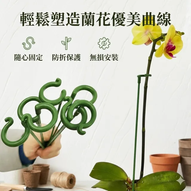 【POKO】植物支撐桿 蘭花支撐架 10入(27cm固定架 爬藤 園藝支撐桿 觀葉植物 園藝用品固定架)