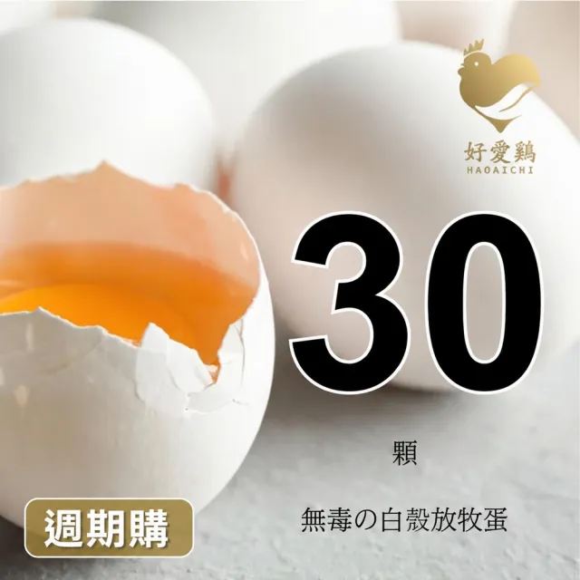 【HAOAICHI 好愛雞】週期購-無毒の放牧蛋 白殼 小家庭單盤 共30顆(30顆/盤) 非籠飼 無藥殘 無毒飼料 雞蛋