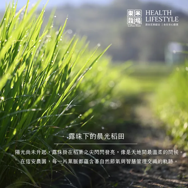 【樂米穀場】花蓮富里產星辰之光1.5KG 六入組(源自日本銘柄之優秀DNA)