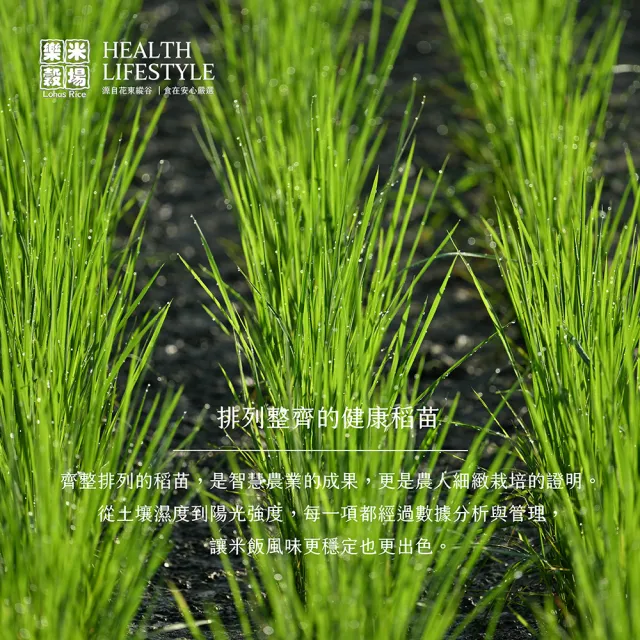 【樂米穀場】花蓮富里產星辰之光1.5KG 六入組(源自日本銘柄之優秀DNA)