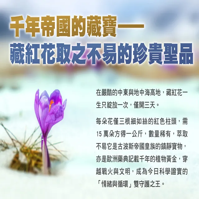 【RELIVE】西班牙藏紅花護緊6瓶組(30顆/瓶 主任醫師推薦-藏紅花 護神護緊 安心入睡)