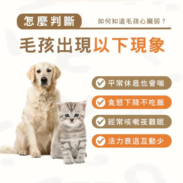 【HOMI 毛與家】心樂活 寵物心血管保健粉-30包/盒(貓咪保健 老狗 老年貓狗 心臟保健 牛磺酸 Q10 犬貓適用)