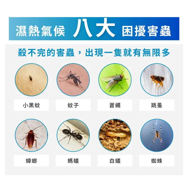 【福來朗】水性除蟲噴霧-補充瓶500ml (滅蚊｜殺蟲劑｜殺蟑｜強效萬用殺蟲劑｜蛾芮｜除蟻｜除蚤)