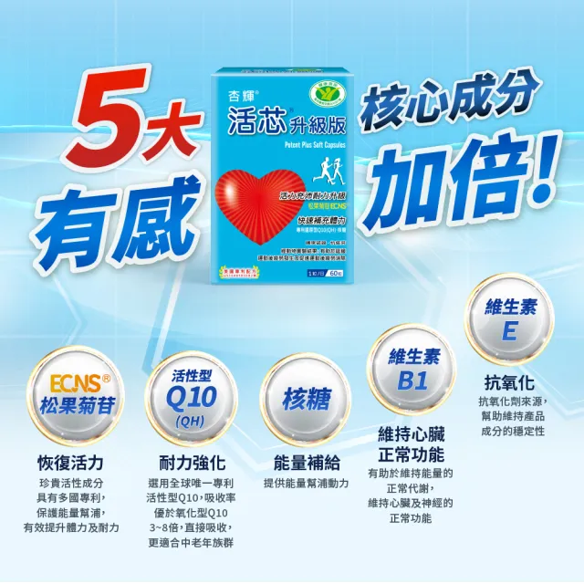 【SINPHAR 杏輝】活芯升級版軟膠囊 國家健康食品2入(共120粒 Q10 ECNS 抗疲勞 銀髮保健 中秋禮盒)
