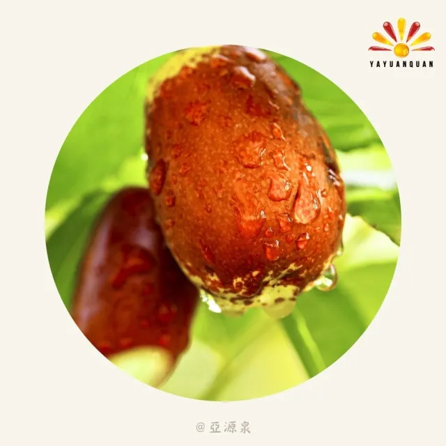 【亞源泉】頂級枸杞/紅棗 200g/包 枸杞茶 紅棗茶 兩種任選 3包