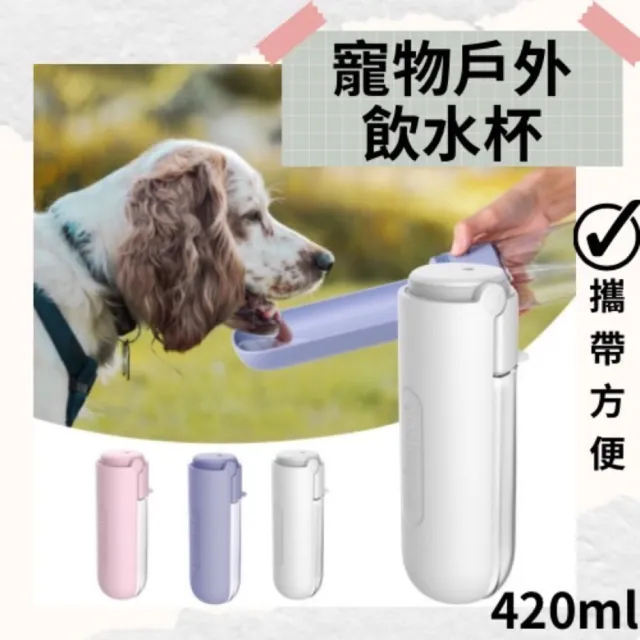 【2026】寵物餐具推薦ptt》10款高評價人氣品牌排行榜 | BALIMAN情報局