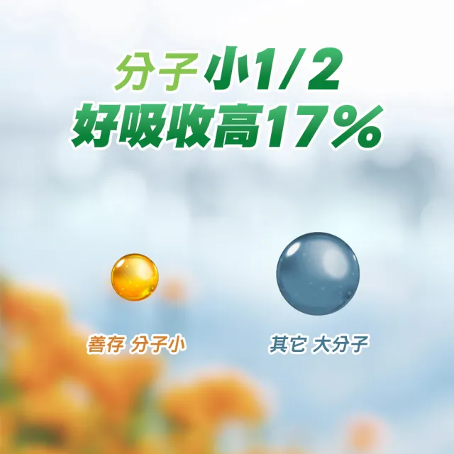 【CENTRUM 善存】游離型葉黃素軟膠囊20mg 6盒組(60粒/盒)