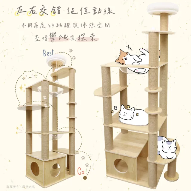 【貓本屋】雙橢圓太空艙加大貓屋實木貓跳台(台灣製)