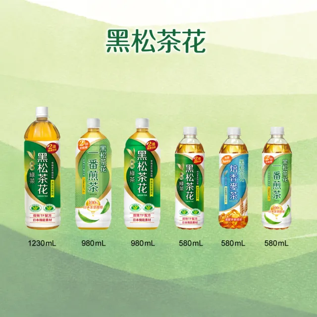 【黑松】黑松茶花綠茶580mlx24入/箱