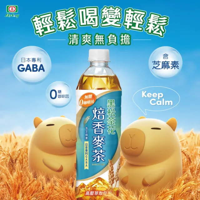 【黑松】黑松茶花焙香麥茶580mlx2箱(共48入)(TQF微笑標章)