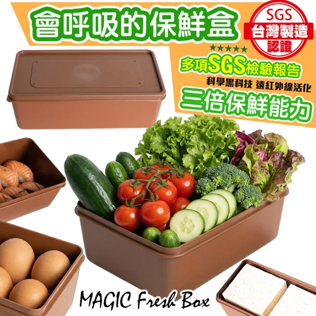【2026】便當盒推薦｜10款高評價人氣品牌排行榜 | BALIMAN情報局