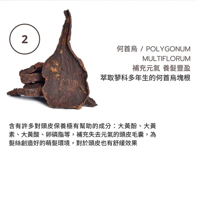 【Moonlight 莯光】3%進化版 健髮豐潤洗髮精 400mL x2(養髮 健髮 豐盈 蓬鬆)