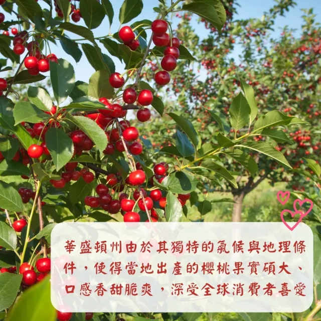 【探果籽】優選品牌★空運 華盛頓9R櫻桃1kg/盒(新鮮直送)