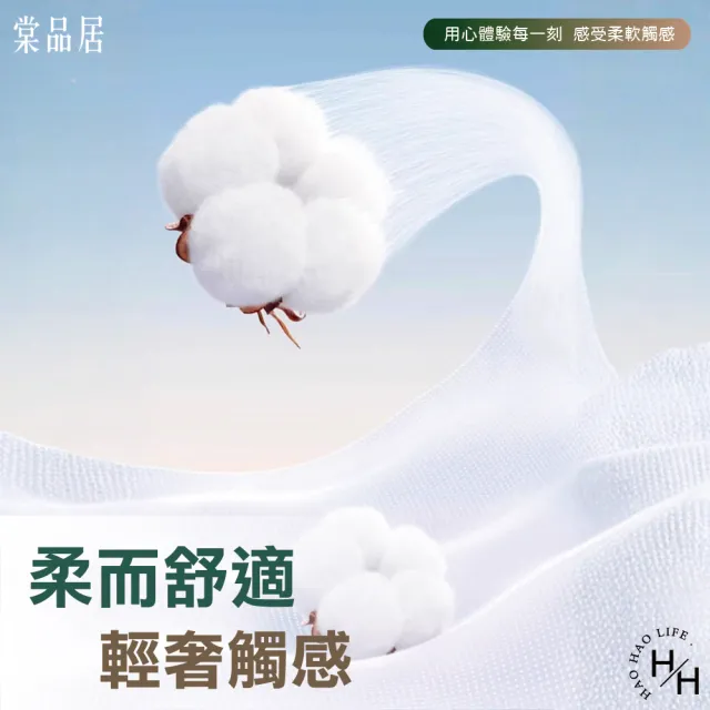 【Tan ping home 棠品居】10包組-掛式衛生紙(1680張/包)
