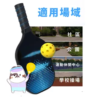 【CLEAN 克林】專業匹克球拍套裝 2拍+4球+收納包 #TV005(匹克球 匹克球拍 球拍 室外球 戶外娛樂)